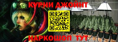 spice Гусь-Хрустальный