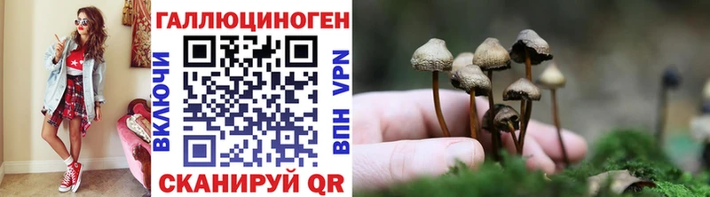 Галлюциногенные грибы Cubensis  Дедовск 