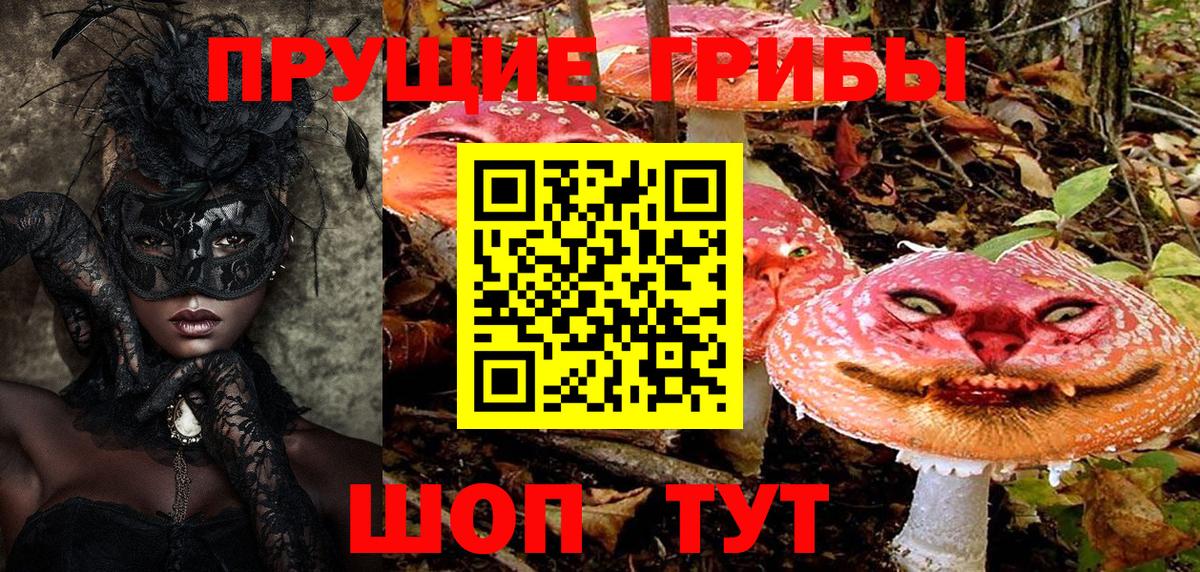 Псилоцибиновые грибы прущие грибы Дедовск
