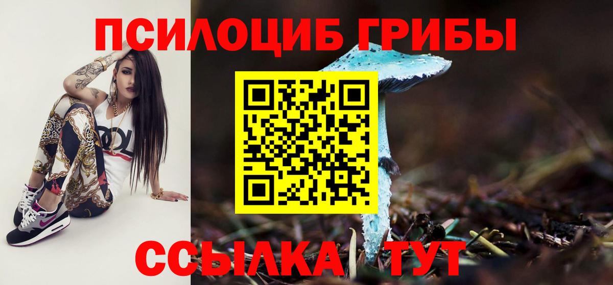 Галлюциногенные грибы GOLDEN TEACHER  что такое наркотик  Дедовск  Вход с VPN 